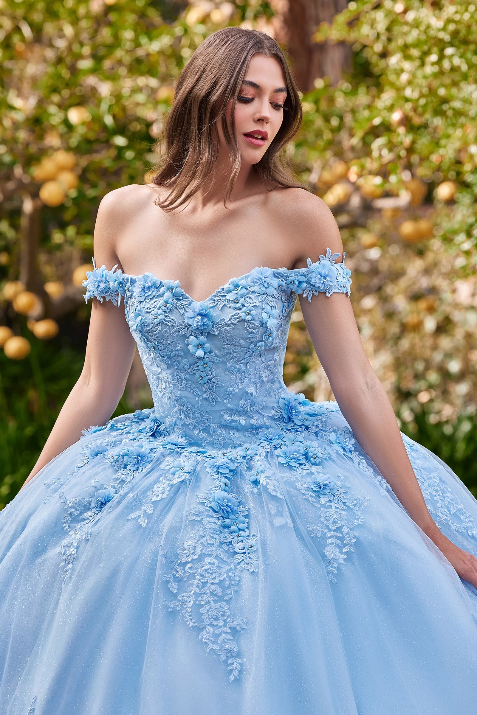 Off The Shoulder Floral Quince Ball Gown-3