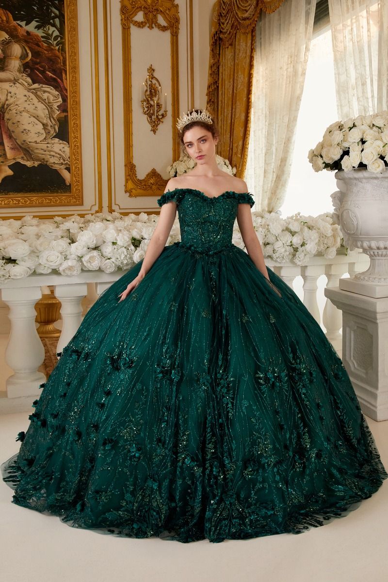 Off The Shoulder Quinceanera Floral Ball Gown-0