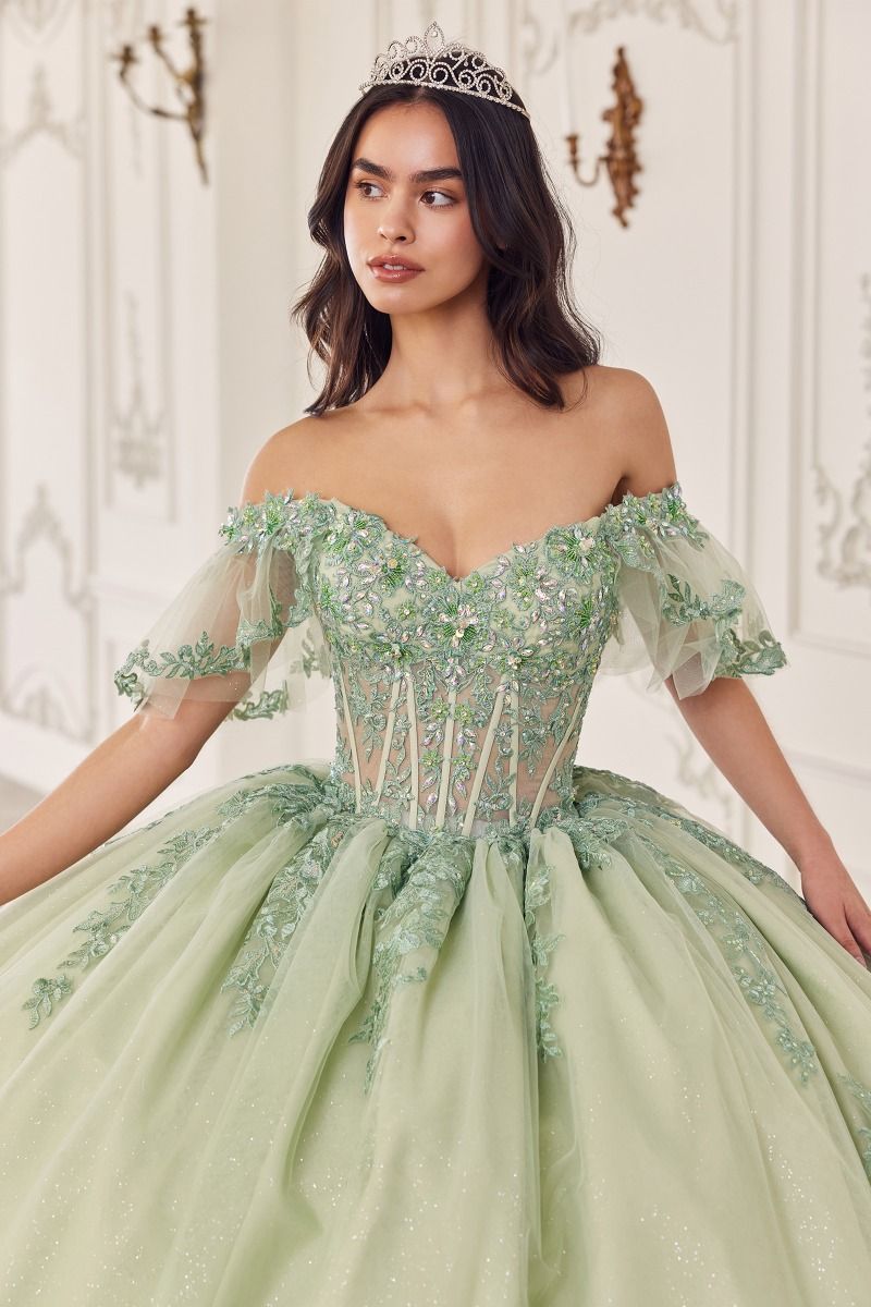 Off The Shoulder Flutter Sleeve Ball Gown-1