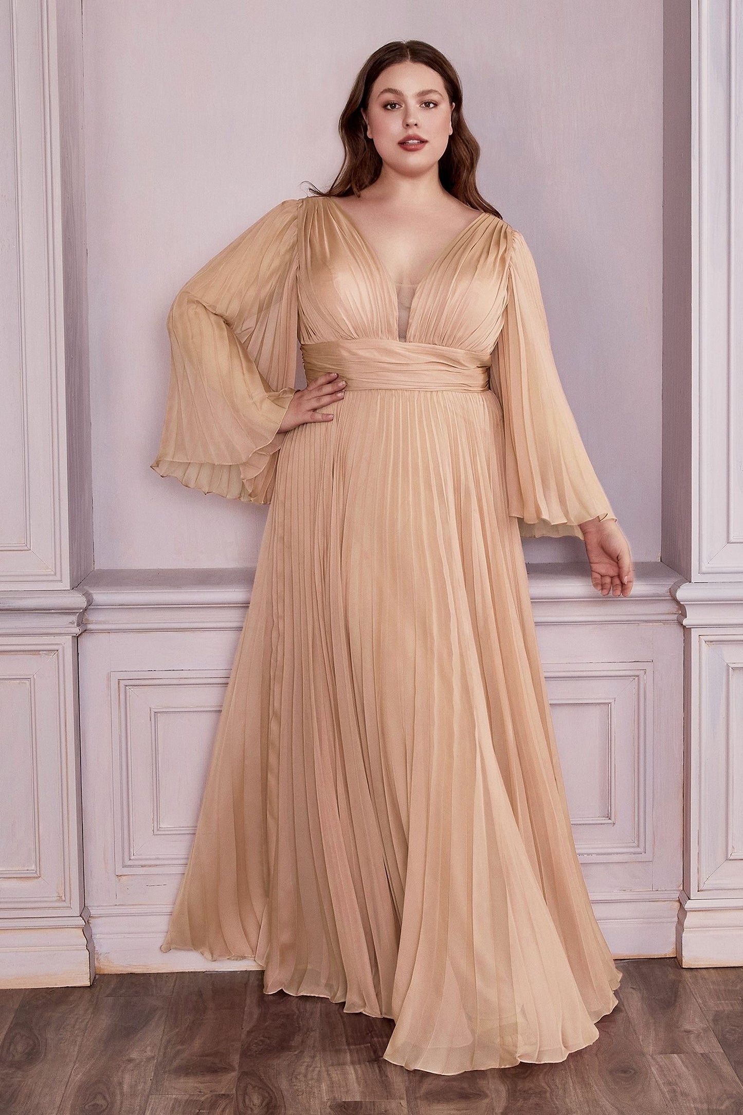 Long Sleeve Chiffon Gown-1