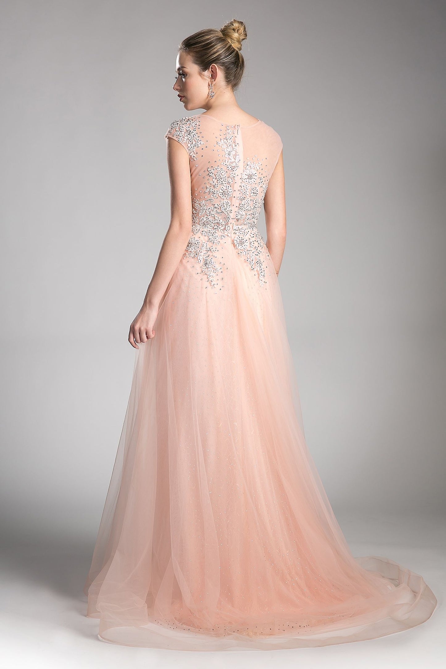 A-line tulle dress with beaded cap sleeve bodice and illusion back-1