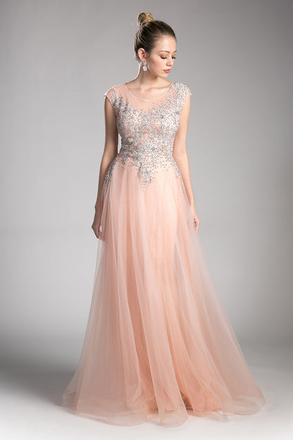 A-line tulle dress with beaded cap sleeve bodice and illusion back-0