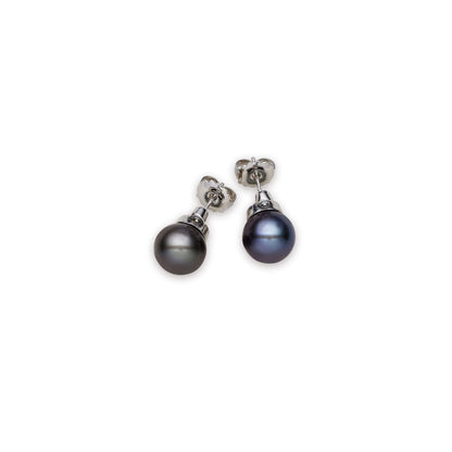 Tahitian South Sea Black Pearls Mittagong Earrings 12-13 mm AA-0