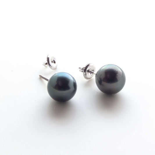 Tahitian South Sea Black Pearls in 10 CT Gold Pirae Screwback Earrings 10.5 - 11.5 MM AA-0