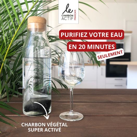 Lot de 2 filtres à eau au charbon végétal actif-2