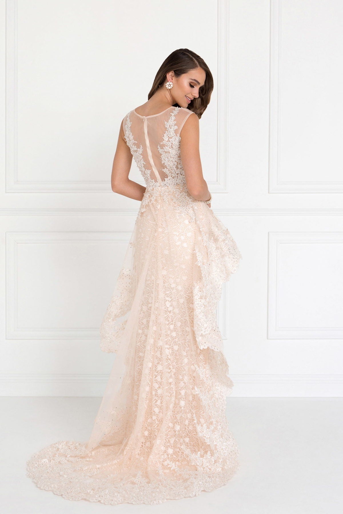 Lace Mermaid Long Dress with Sheer Back and Tulle Overlay-1