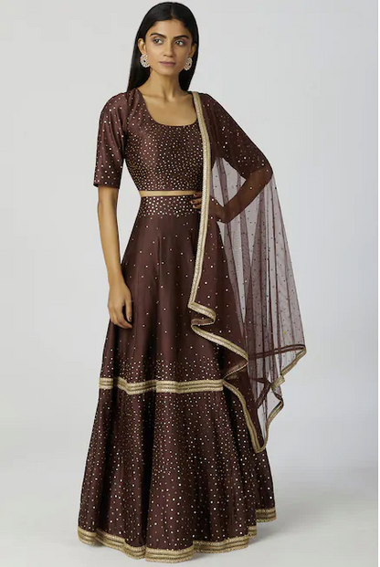 Chanderi Silk Embellished Lehenga Set in Brown-0