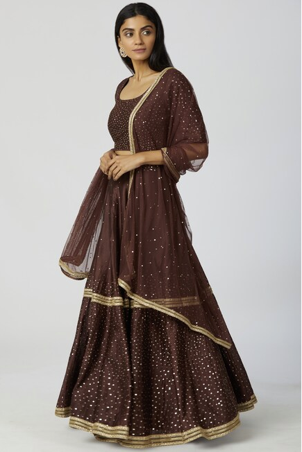 Chanderi Silk Embellished Lehenga Set in Brown-3