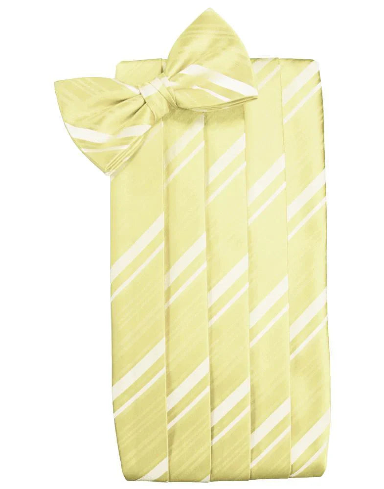 Kids Striped Satin Cummerbund-9