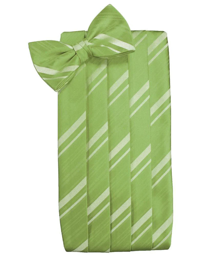 Kids Striped Satin Cummerbund-12