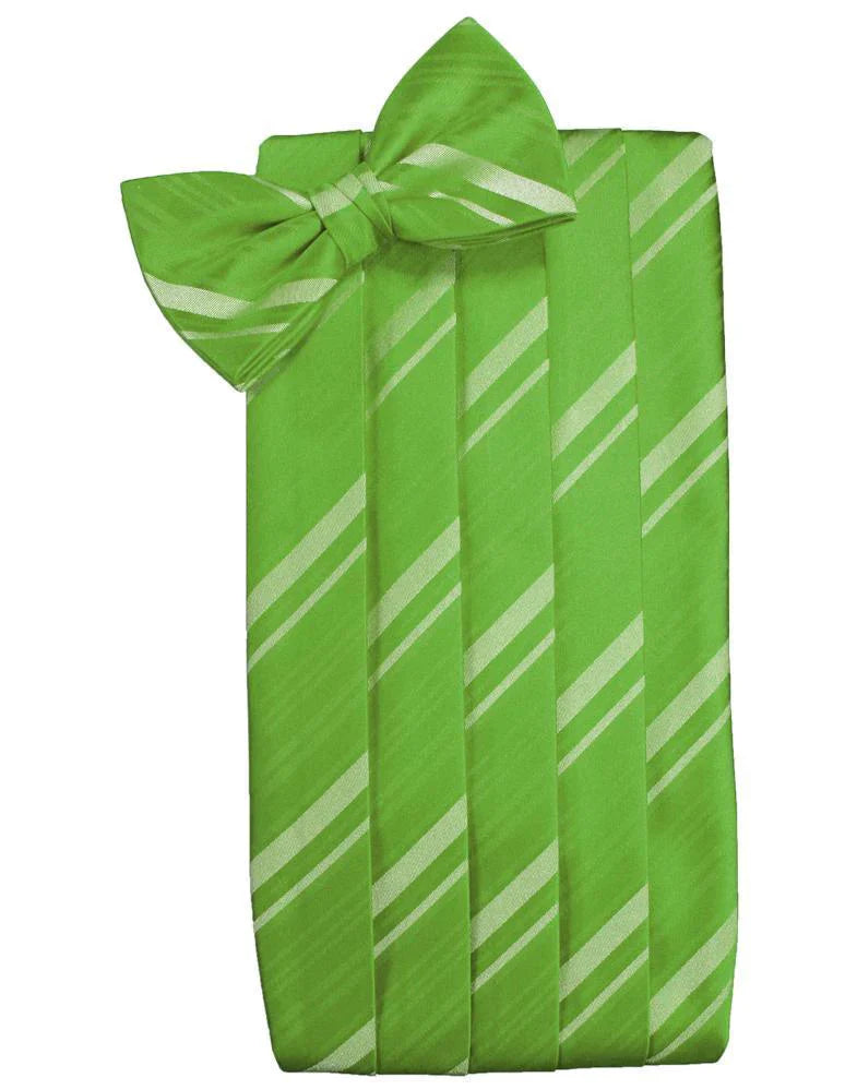 Kids Striped Satin Cummerbund-28