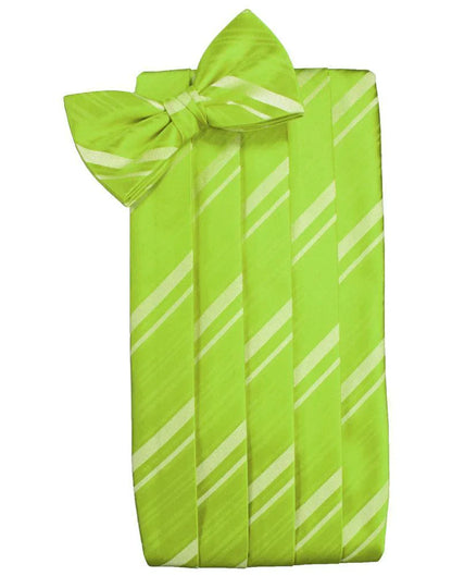 Kids Striped Satin Cummerbund-33