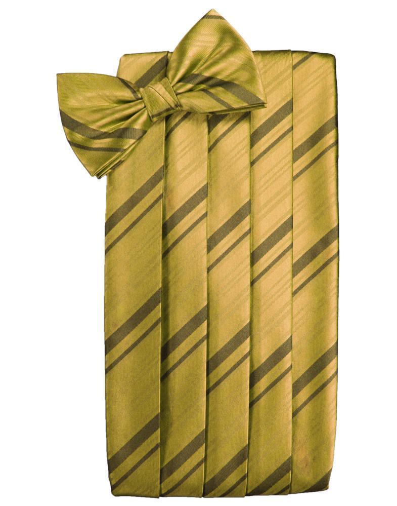 Kids Striped Satin Cummerbund-39