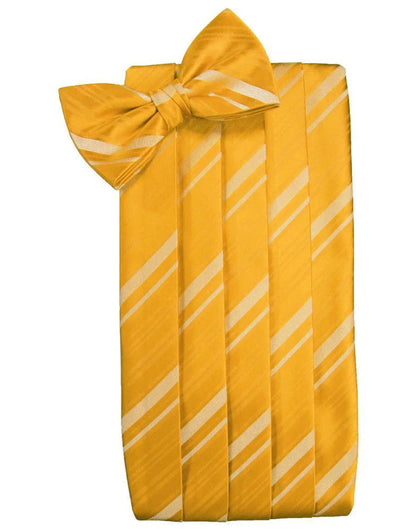 Kids Striped Satin Cummerbund-57