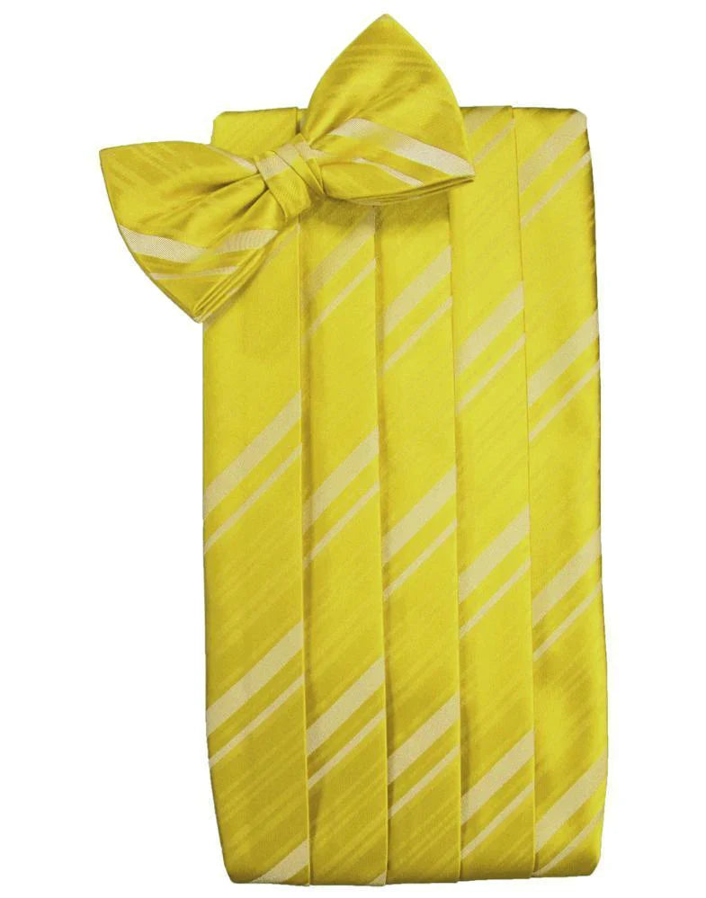 Kids Striped Satin Cummerbund-62