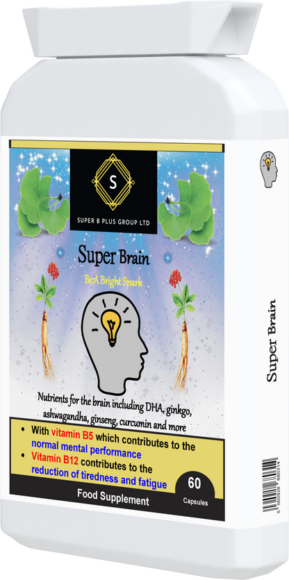 Super Brain-2