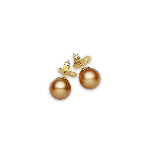 South Sea Deep Gold Pearls Newtown 14ct White Gold Earrings 12-13 mm AA+-0