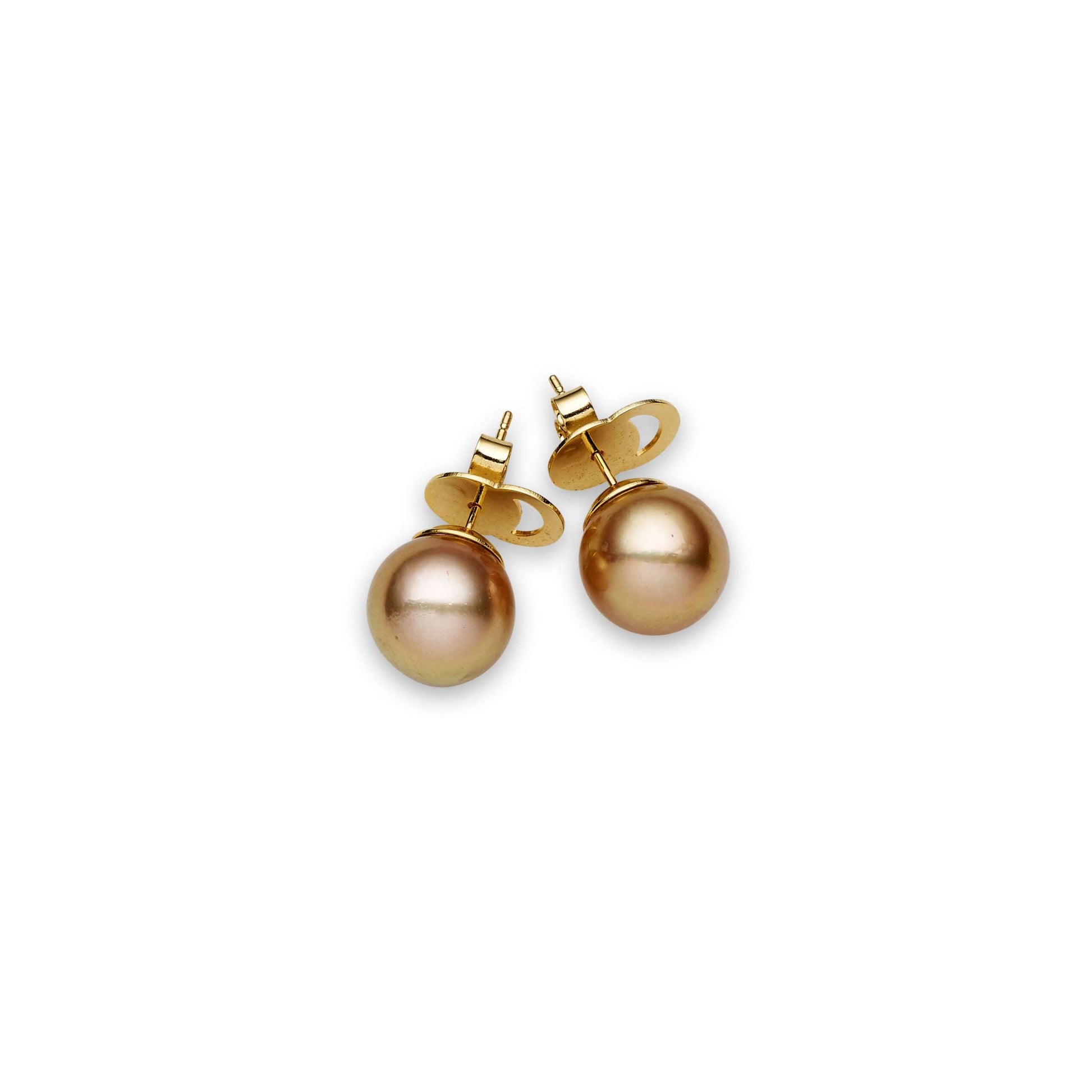 South Sea Gold Pearls Waterloo 14ct Gold Earrings 12-13 mm AAA-0