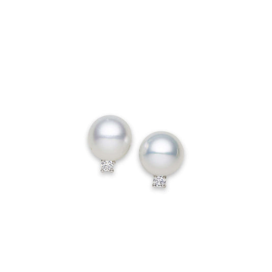 South Sea White Pearls Rose Bay Dangling Earrings 12-13 mm AAA-0