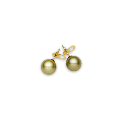 Tahitian South Sea Pistachio Pearls Kiama 14ct Gold Earrings 12-13 mm AAA-0