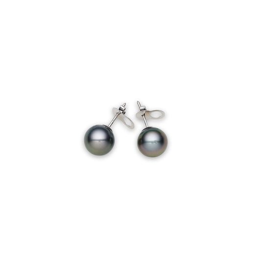 Tahitian South Sea Black Pearls Prague 14ct White Gold Earrings 10-11 mm AAA-0