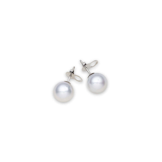 South Sea White Pearls Ryde 14ct White Gold Earrings 12-13 mm AAA-0