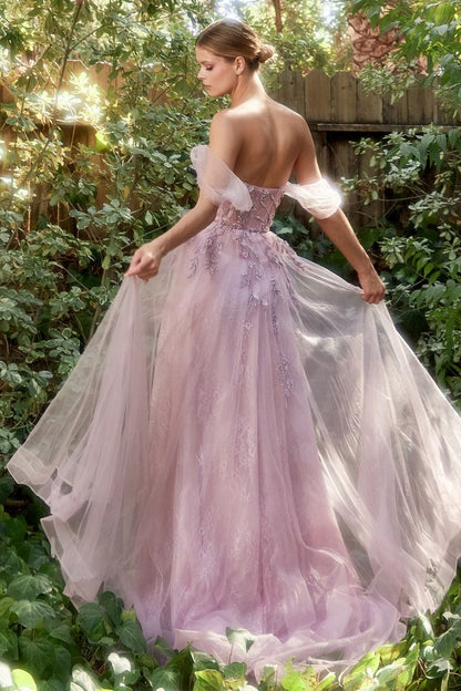 Off The Shoulder Birds Of Romance A-Line Tulle Gown-2