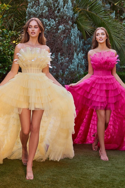 High Low Ruffled Tulle Gown With Feather Details-0