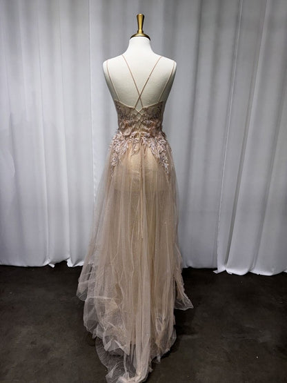 Nude A-Line Tulle Gown-1