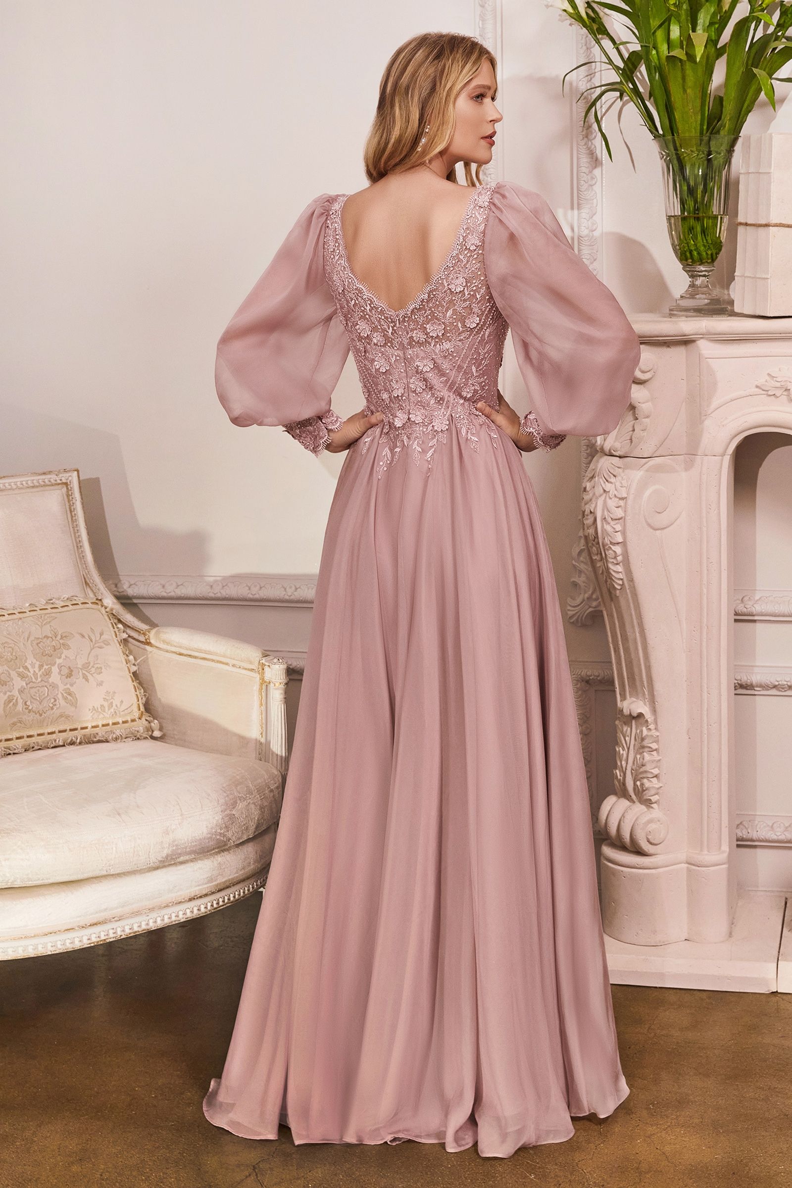 Long Sleeve Chiffon Evening Gown-3