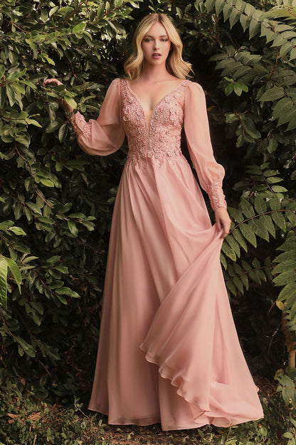 Long Sleeve Chiffon Evening Gown-2