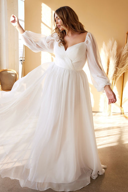 Plus Size Sweetheart Sheer Sleeve Chiffon Dress-2