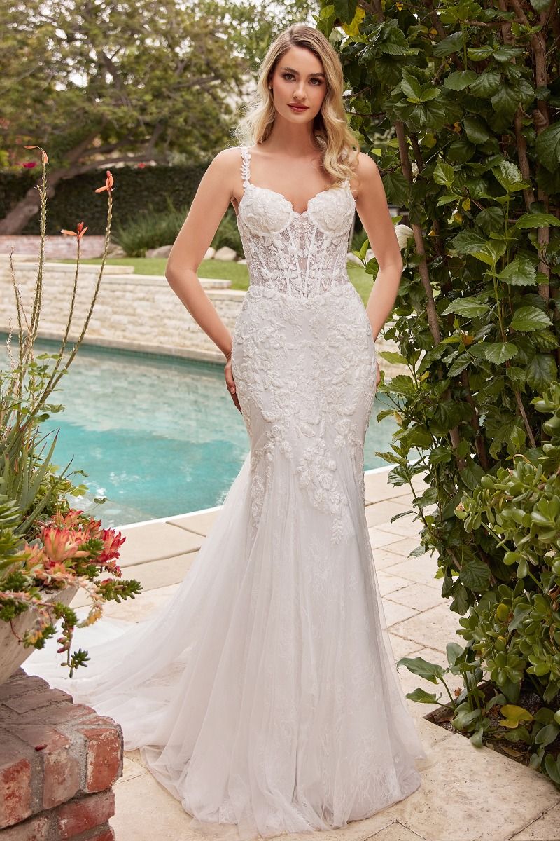 Lace Mermaid Wedding Dress-3