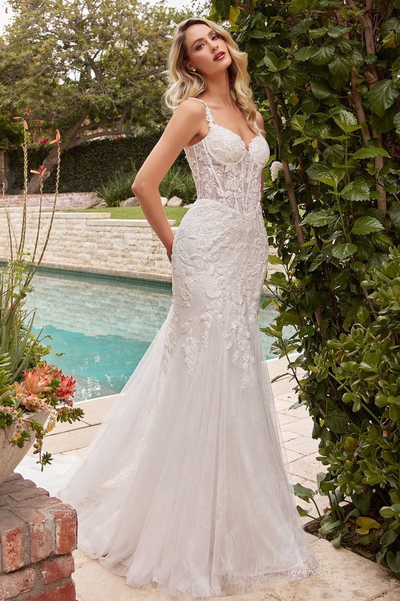 Lace Mermaid Wedding Dress-0