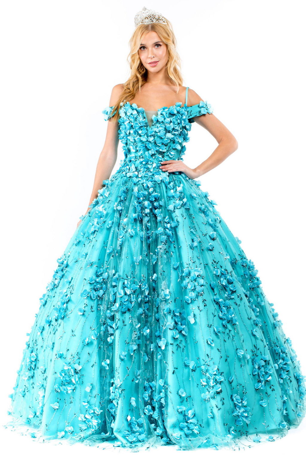 Floral 3D Applique Sweetheart Neckline Glitter Mesh Quinceanera Dress-0