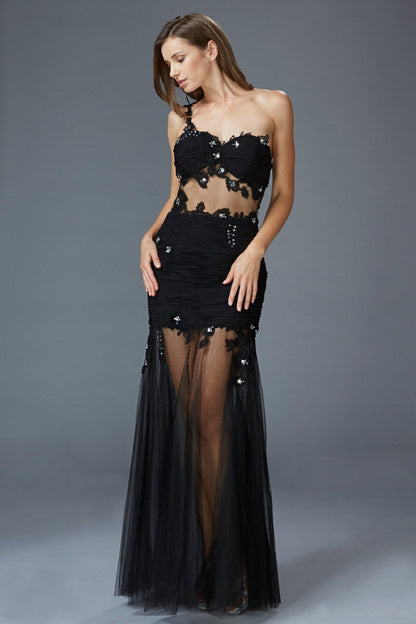 Lace Embellished Tulle Long Dress with Sheer Waist and Skirt-0