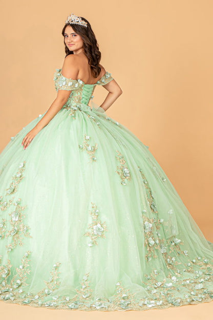 3-D Flower Applique Sweetheart Neckline Mesh Quinceanera Ball Gown-1