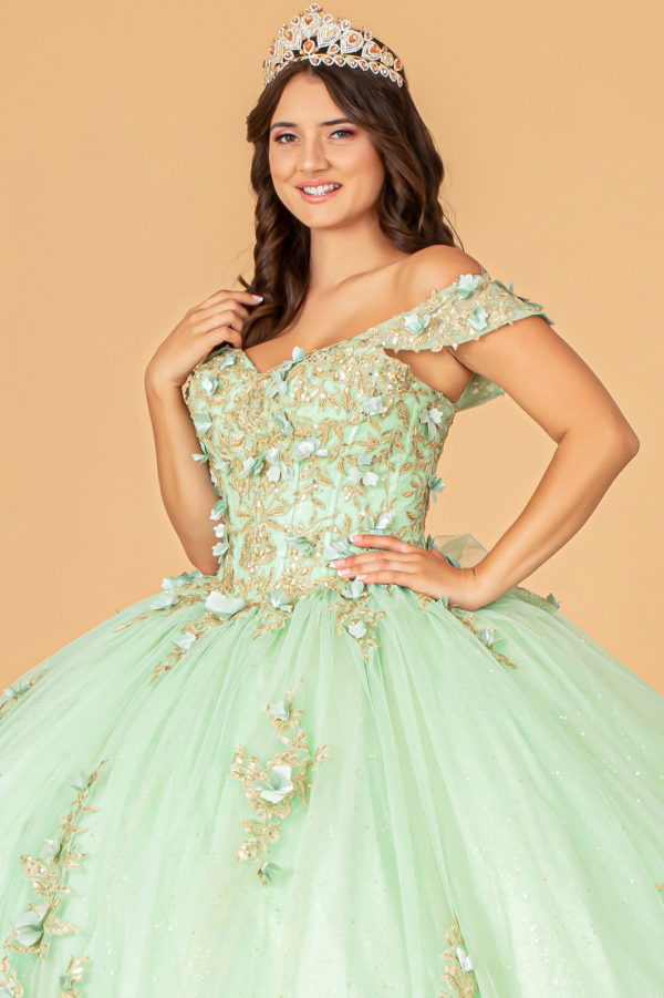 3-D Flower Applique Sweetheart Neckline Mesh Quinceanera Ball Gown-3