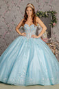 3-D Flower Embroidery Sheer Corset Bodice Mesh Ball Gown-0