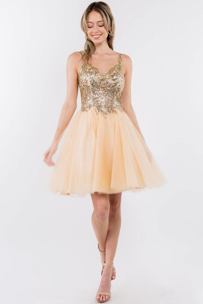 Sequin and Glitter Embellished Sheer Bodice V-Neck Short Dress-0