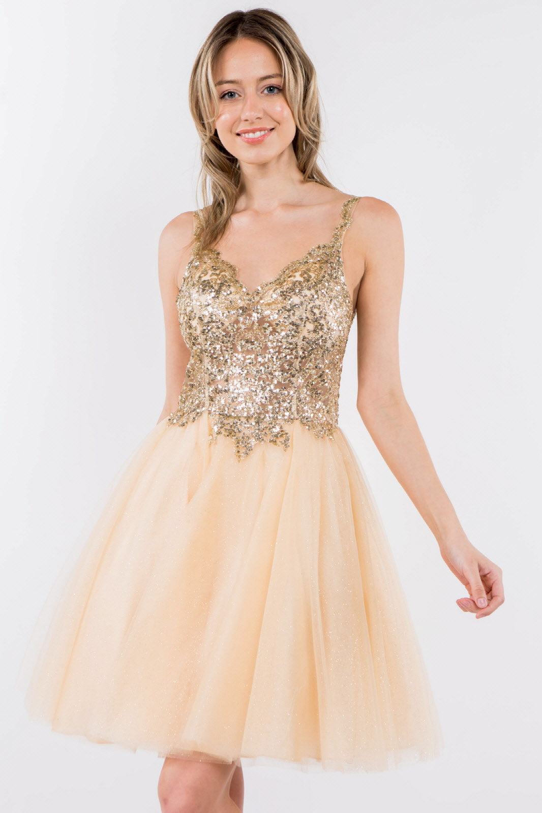 Sequin and Glitter Embellished Sheer Bodice V-Neck Short Dress-1