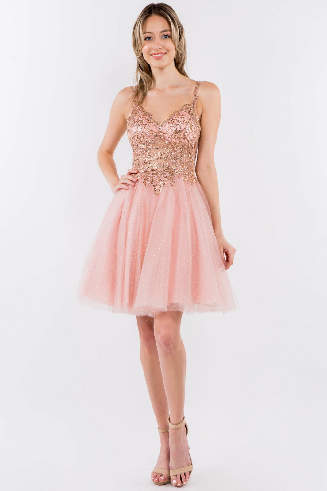 Sequin and Glitter Embellished Sheer Bodice V-Neck Short Dress-6