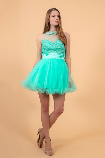 Embroidered Tulle Short Dress with Beaded Collar and Illusion Sweetheart Neckline-3