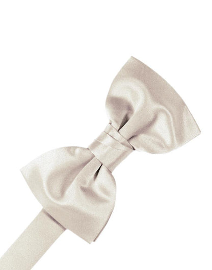 Luxury Satin Bow Tie-2