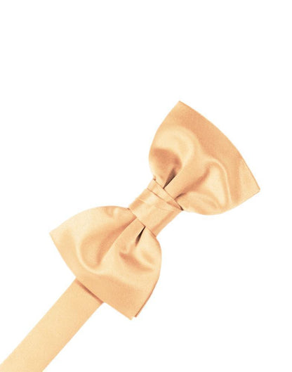 Luxury Satin Bow Tie-4