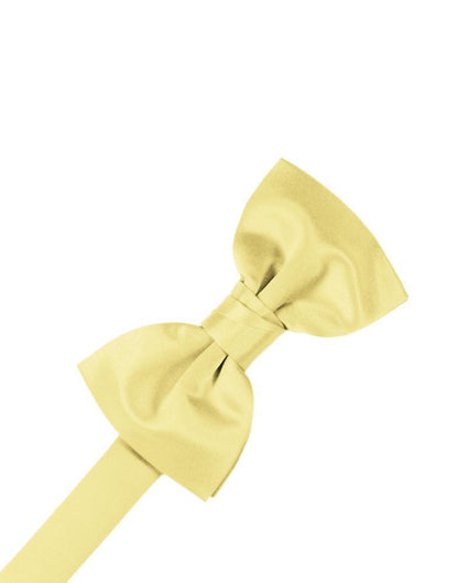 Luxury Satin Bow Tie-10