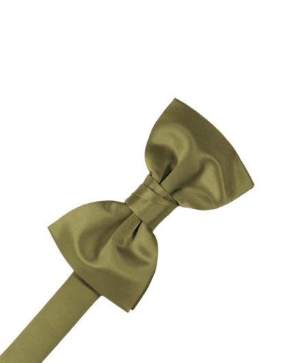 Luxury Satin Bow Tie-19