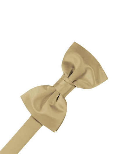 Luxury Satin Bow Tie-22