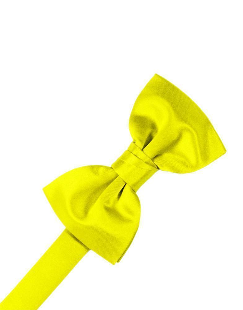 Luxury Satin Bow Tie-33