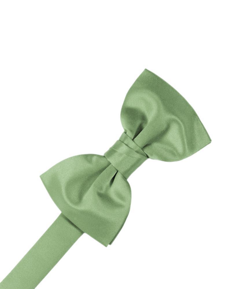 Luxury Satin Bow Tie-56